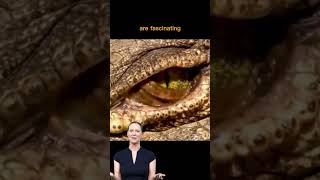 AI Avatar Fun Facts | Crocodile's Eyes... | #ai #shorts