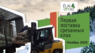 Поставка елок из Дании на склад 2020. Первая поставка срезанных елок.