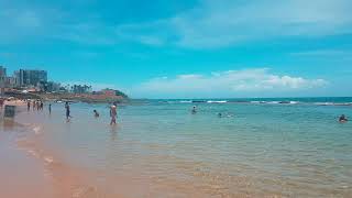 브라질 살바도르 해변가 모습 | VIew of Praia do Farol da Barra in Salvador, Bahia, Brazil