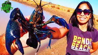 Dragons, Deadly Snakes and HUGE BLUECLAW CRAYFISH !!!! Outback Catch Clean Cook....