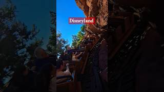 Thunder Mountain Railroad #crazy #disney #thundermountain #Disneyland #jgkix