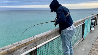 All The Fish Were All Under This Pier!