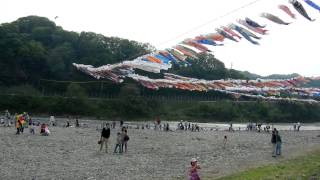 Childrens day carp flags