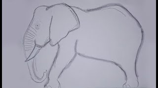 Como desenhar elefante africano