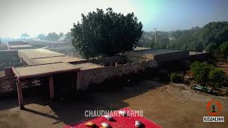 Sky View of Agriculture Farm in Pakistan