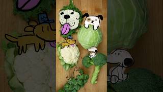 Why broccoli is like a dog