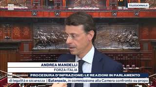 Intervista di Andrea Mandelli al tg Rai Parlamento del 5/06/2019