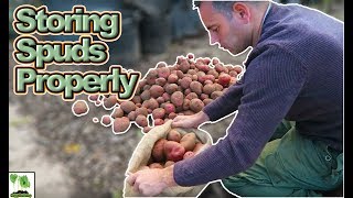 Storing Potatoes Long Term  - Save Your Potato Harvest