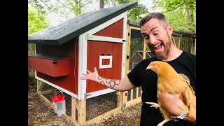 Best damn DIY Chicken Coop, period