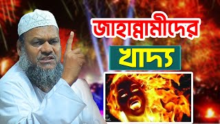 জাহান্নামীদের খাদ্য কি কি || আব্দুর রাজ্জাক বিন ইউসুফ