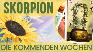 #Skorpion ♏️  August 👉 Deine Abwehrhaltung verhindert gerade eine positive Veränderung 🍀