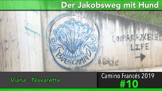 Jakobsweg mit Hund - Doku 2019 (4K) Tag 10: Vianna nach Navarette || Camino Santiago Frances