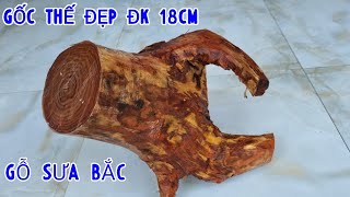 Gốc Gỗ Sưa Bắc Chất Đẹp Dáng Phiêu Đẹp Đk 18cm Chơi Được Rất Nhiều Dáng Thế Khác Nhau