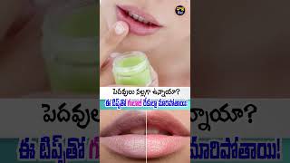 పెదవులు నల్లగా ఉన్నాయా.. ఈ టిప్స్​తో గులాబీ రేకుల్లా మారిపోతాయి! #lips #healthtips