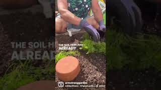 Ancient Irrigation with Olla Pots: How To Install