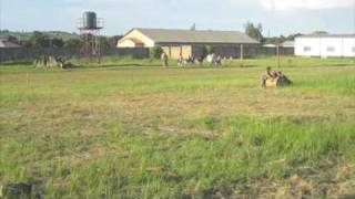 Lubuto Boys Brigade Band Practising