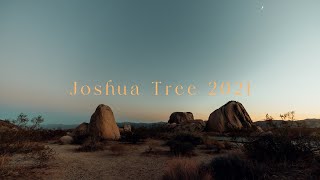 JOSHUA TREE | A romantic getaway