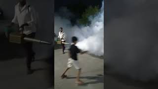 mosquito fogging #health #shortvideo #viral