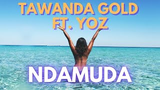 Tawanda Gold ft. Yoz - Ndamuda / Top hit September 2022 / Music visualization / Zimbabwe Music