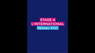 Bachelor EGC - Stage à l'international !