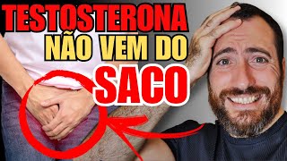 COLESTEROL produz TESTOSTERONA?   Existe relação entre testosterona e colesterol? Qual papel deles?