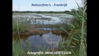 NATUURFOTO'S   FRANKRIJK