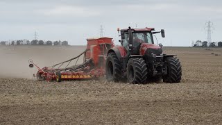 Case Optum 300 On Big Tyres Drilling with 8m Vaderstad Rapid