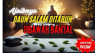 🛑 DAUNNYA NABI KHIDIR..❗ Taruh 3 Lembar Kalau Berani..!! Khasiat Daun Salam Di Bawah Bantal.