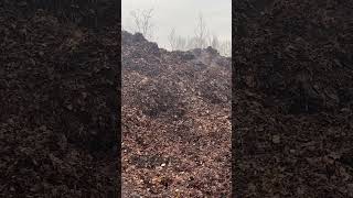 Heat Escaping From Composting Leaves #compost #fall #composting #leaves #topsoil #nature