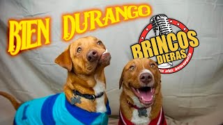 BIEN DURANGO 2024