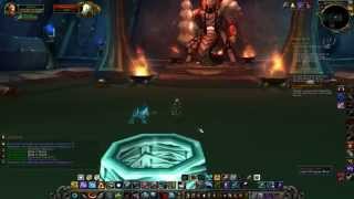 Black Temple Solo Hunter Run inc loot - approx 1200gold