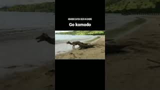 OMG😱 2 Komodo dragons are eating deer that are still alive on the beach#animal #wildlife #shorts