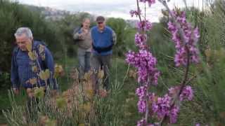 Trekking alla Riserva di Monte Catillo