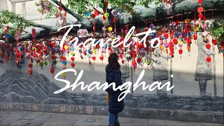 #43 Travel to Shanghai 🇨🇳part 1|Visiting Xian | Terracotta Army | China | Tea Stone - the best place