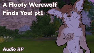 [Furry ASMR] A Floofy Werewolf Finds You! pt1 | Soft Spoken, Nighttime Ambience, Fur Brushing