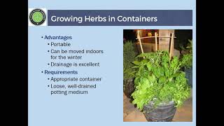 Lunch & Learn with the Master Gardeners- Herb Gardening