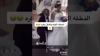 ١٢ نوفمبر ٢٠٢٢