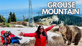 WATCH NOW: Tourists Have a Close Encounter with a Wild Grizzly Bear at Grouse Mountains!