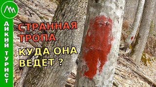 Этой ТРОПЫ нет на картах! Куда она ведет? Что за красные пятна на деревьях?