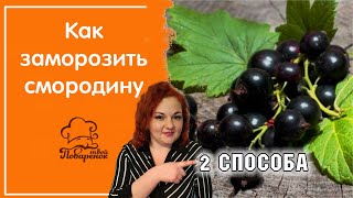 Как заморозить смородину в домашних условиях, 2 способа - с сахаром и целой ягодой