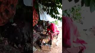 AKWAOKUKO TIWARA AKU's Oba Brothers  Begging their gods for his release from kidnappers dungeon