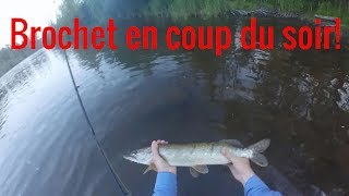 Brochet en coup du soir aux leurres (GoPro)