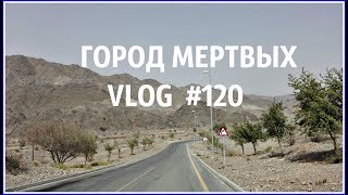 VLOG: ОСТАТЬСЯ В ЖИВЫХ | HATTA DAM| ДУБАЙ