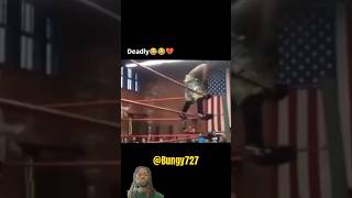 Wrestling is not fake,this will prove it! #wrestling #tiktok #tiktokvideo #Shorts #viral #memes #fyp