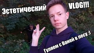 Эстетический, Артхаусный VLOG! | Мы с Ваней гуляем в лесу.