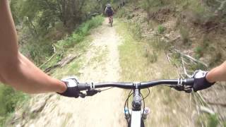 MTB: Dun mountain trail-Nelson