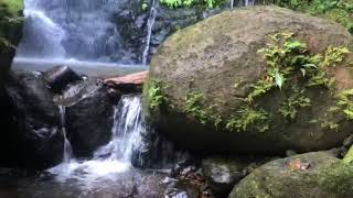 Wasserfall Costa Rica