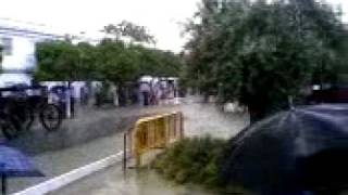 Romeria - el convento - villaverde del rio 2009 (2/2)