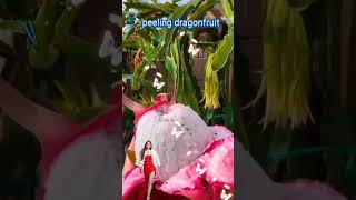 peeling dragonfruit/#dragonfruit #fruit #peeling #funplay #shorts #youtubeshorts