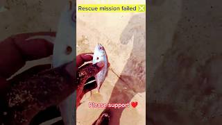 Rescue mission failed ❎ #fish #ytshorts #respect #arcade #seaanimals